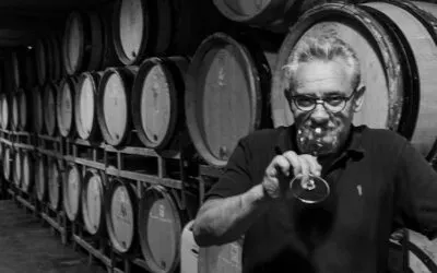 Domaine Julien Marchand, Bourgogne AOC 2022 Pinot Noir: la degustazione