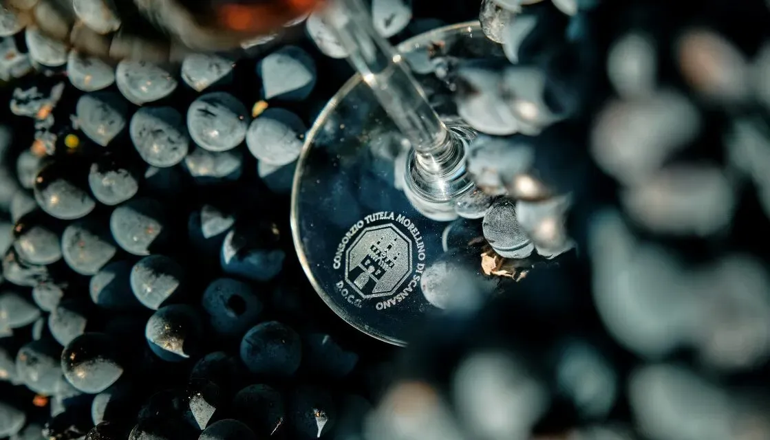 Morellino di Scansano: il consorzio approva la menzione “Superiore”