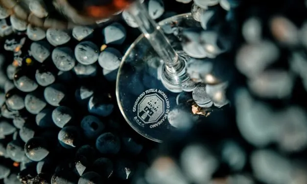 Morellino di Scansano: il consorzio approva la menzione “Superiore”