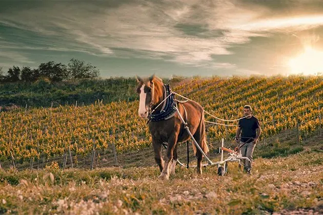 Corpinnat, le vendite 2024 salgono a 26,8 milioni: in quattro anni più 24%