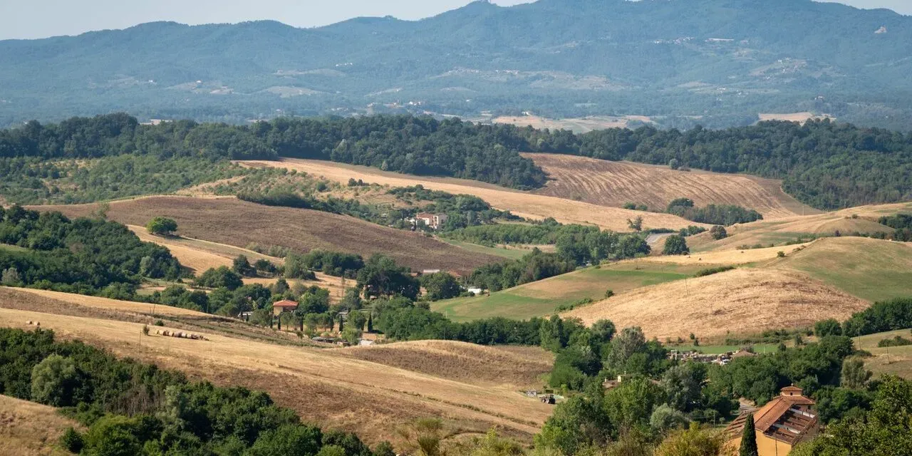 Valdarno di Sopra Day: secondo appuntamento con l’anteprima dei vini valdarnesi e questi sono i nostri “magnifici cinque”