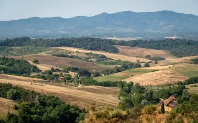 Valdarno di Sopra Day: secondo appuntamento con l’anteprima dei vini valdarnesi e questi sono i nostri “magnifici cinque”