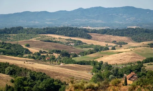 Valdarno di Sopra Day: secondo appuntamento con l’anteprima dei vini valdarnesi e questi sono i nostri “magnifici cinque”