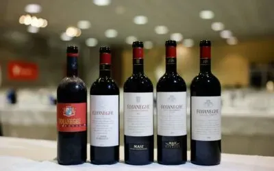 Fojaneghe Conti Bossi Fedrigotti, la verticale