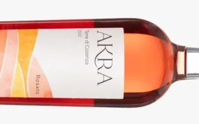 Tenuta di Santa Venere, la degustazione