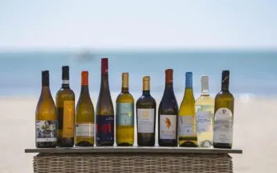 Vermentino Grand Prix, ecco la top ten del vino bianco DOC Maremma