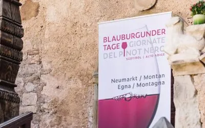 Il Pinot Nero torna sovrano in Alto Adige dal 16 al 18 maggio