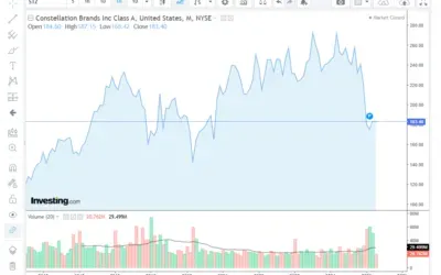 Constellation Brands (Ruffino) modifica il suo portafoglio vino e si concentra sui premium