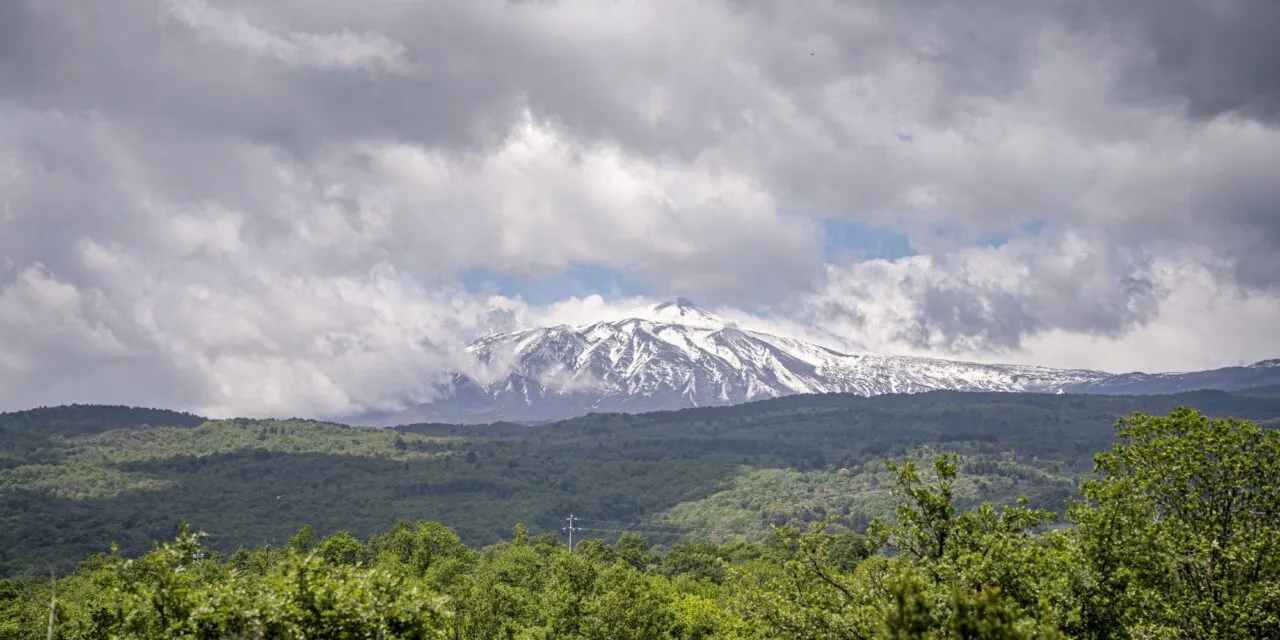 Carricante e Nerello Mascalese, ecco i primi vini della Tenuta Ammura (Tommasi) sull’Etna