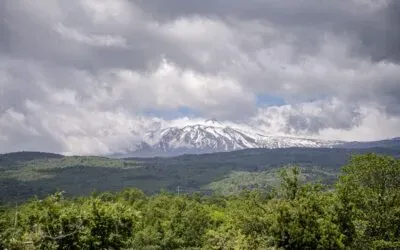 Carricante e Nerello Mascalese, ecco i primi vini della Tenuta Ammura (Tommasi) sull’Etna