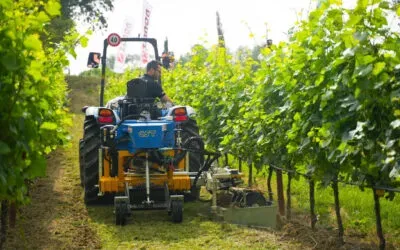 Macchinari agricoli, crolla del 25% export italiano che si attesta a 1,2 miliardi (meno 9% nei primi due mesi del 2025)