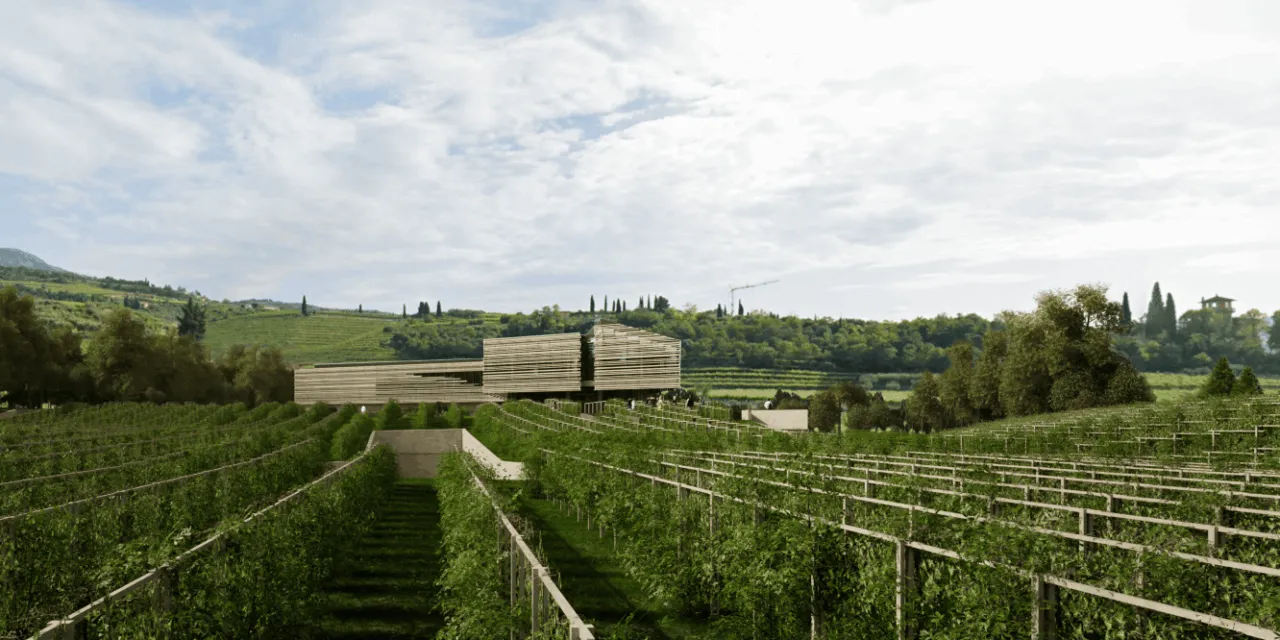 Monteleone 21, debutta la wine experience di Masi che rivoluziona l’enoturismo