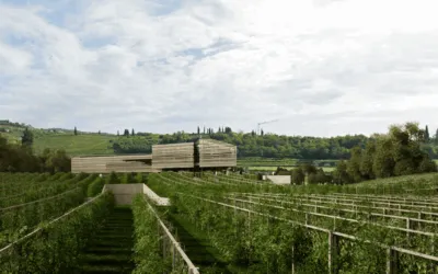 Monteleone 21, debutta la wine experience di Masi che rivoluziona l’enoturismo