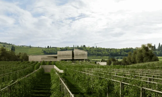 Monteleone 21, debutta la wine experience di Masi che rivoluziona l’enoturismo