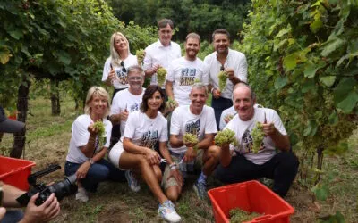 ®Vendemmia Solidale a Le Manzane: oltre 17 mila euro per combattere il disagio giovanile