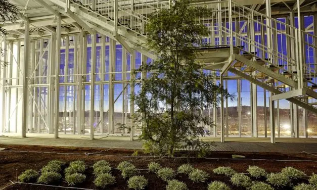 Intesa Sanpaolo: 10 miliardi per le filiere agroalimentari (1,5 per il solo settore vino)