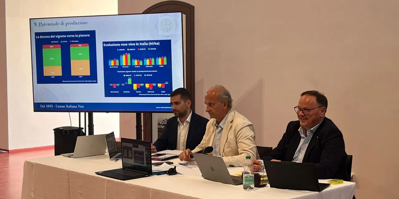 UIV: giacenze in cantina pari ad un’intera vendemmia, vanno bloccati i nuovi impianti per un anno