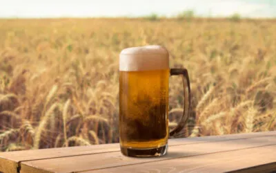Birra agricola, in cinque anni più 20% e crescono i contratti di filiera