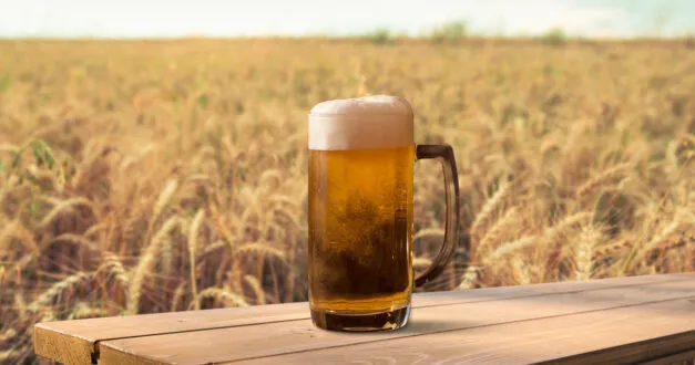 Birra agricola, in cinque anni più 20% e crescono i contratti di filiera
