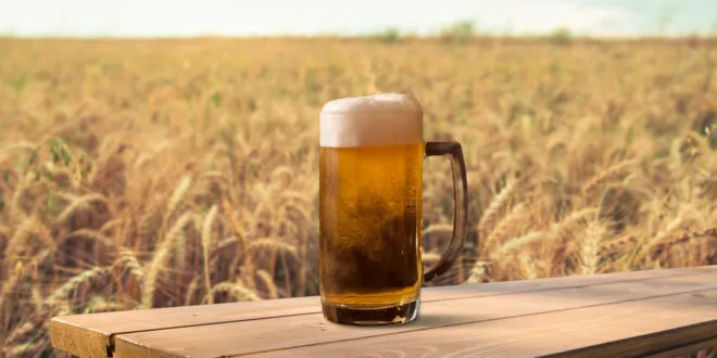 Birra agricola, in cinque anni più 20% e crescono i contratti di filiera