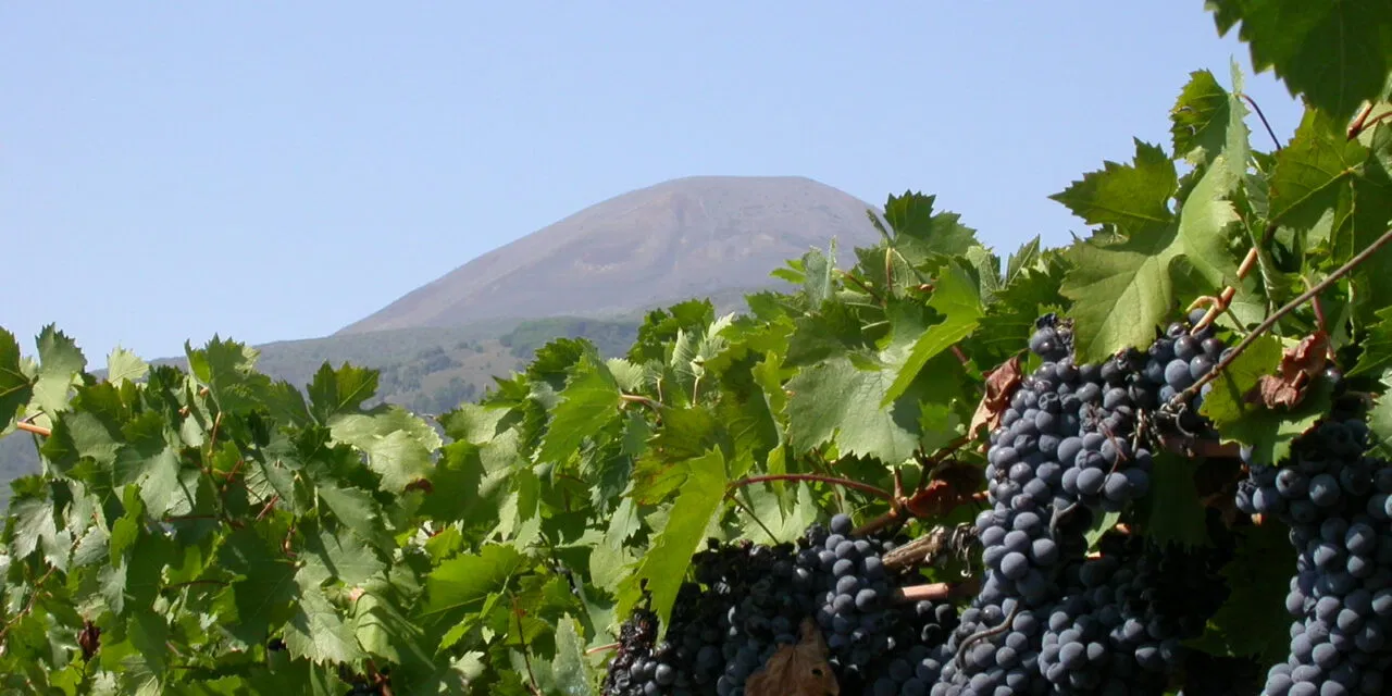 Campania Stories 2025, alle falde del Vesuvio