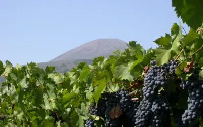 Campania Stories 2025, alle falde del Vesuvio