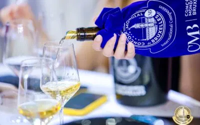 Concours Mondial de Bruxelles: tappa a Yinchuan sulla Via della Seta