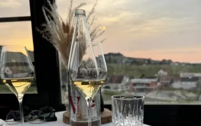 Château de Sacy: un castello incantato immerso nei vigneti