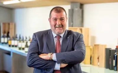 Pinot Grigio delle Venezie, produzione massima per la vendemmia 2025 a 170 quintali/ettaro