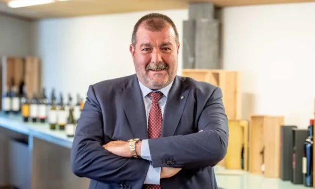 Pinot Grigio delle Venezie, produzione massima per la vendemmia 2025 a 170 quintali/ettaro