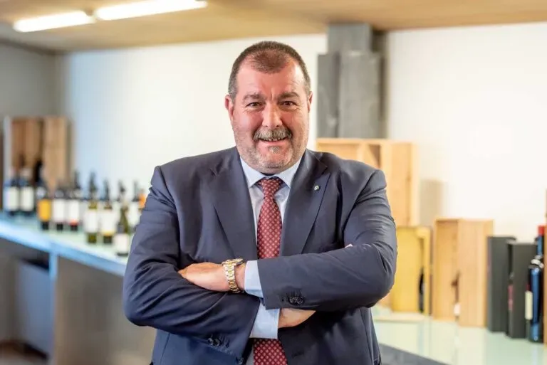 Pinot Grigio delle Venezie, produzione massima per la vendemmia 2025 a 170 quintali/ettaro