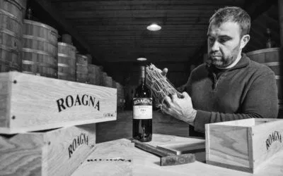 Liv-Ex, gli USA e Screaming Eagle al centro delle contrattazioni dei vini pregiati nell’ultima settimana