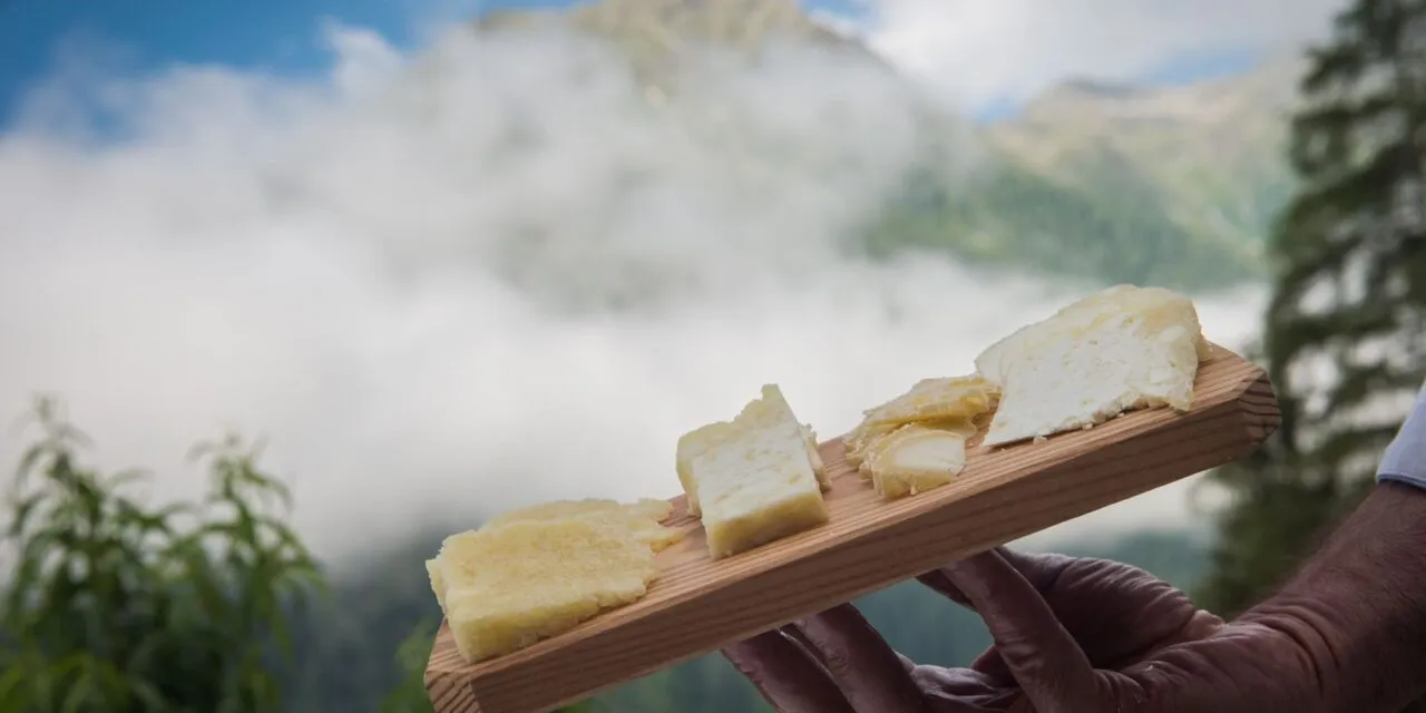Graukäse, una settimana di eventi in Valle Aurina per conoscere la cultura casearia tirolese