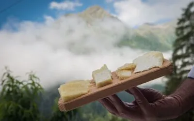 Graukäse, una settimana di eventi in Valle Aurina per conoscere la cultura casearia tirolese