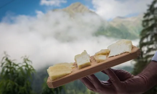 Graukäse, una settimana di eventi in Valle Aurina per conoscere la cultura casearia tirolese