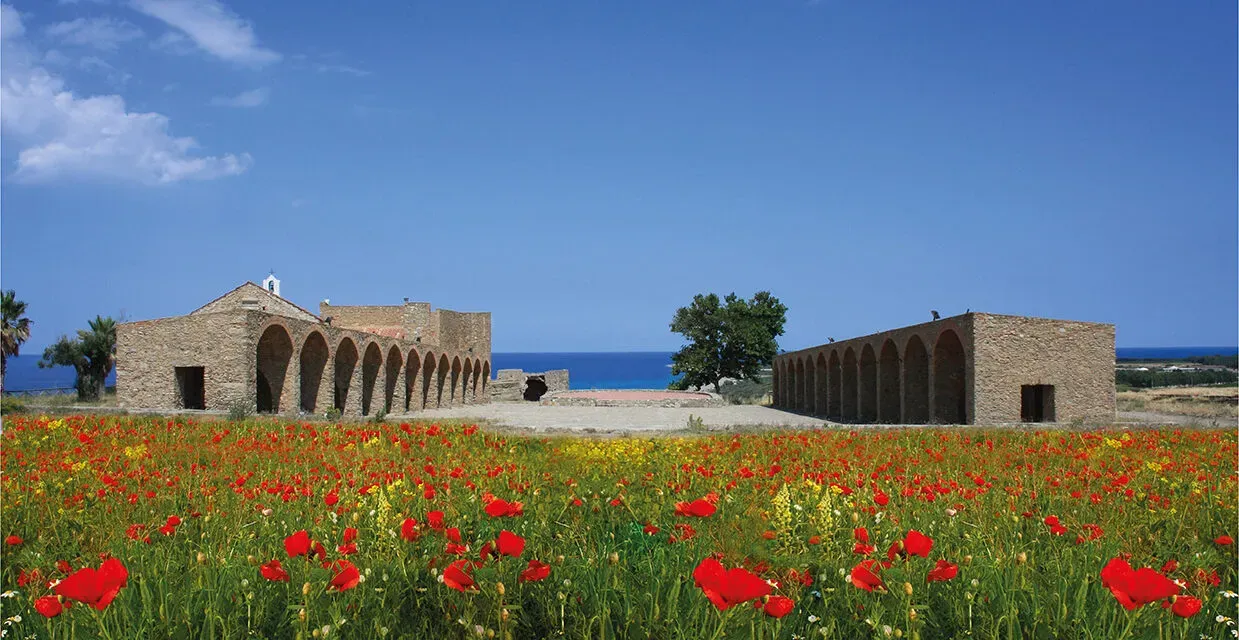 Calabria, il Cirò diventa DOCG e lo festeggia il 10 agosto