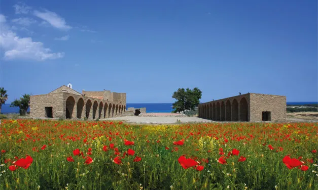 Calabria, il Cirò diventa DOCG e lo festeggia il 10 agosto