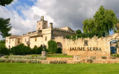 Heretat El Padruell Brut 2020, all’Esselunga un Cava da manuale a soli 5,5 euro