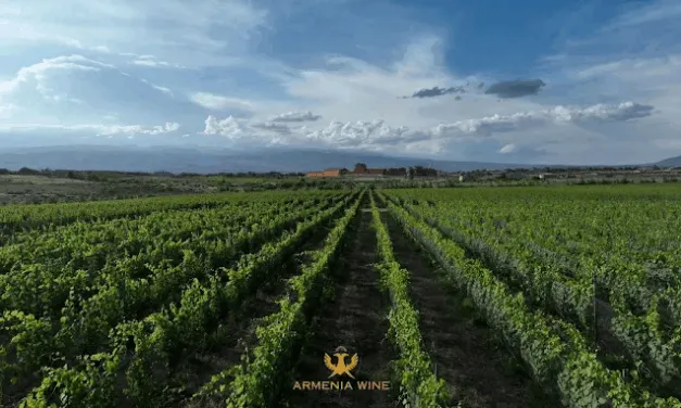 Armenia: la degustazione di Areni e Kangun, le voci antiche del Caucaso