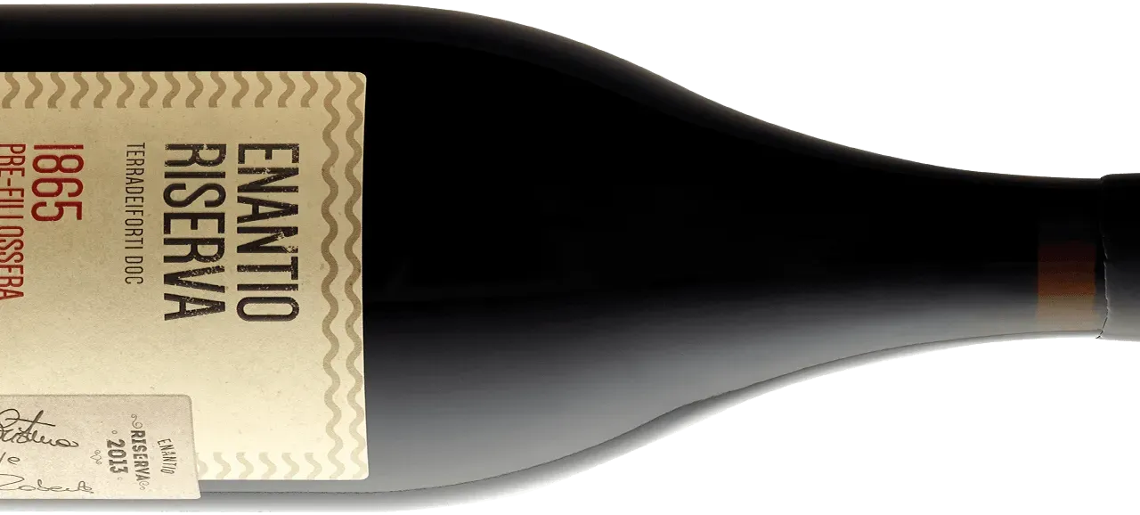 Vallagarina, Cantina Roeno: la degustazione