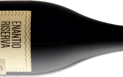 Vallagarina, Cantina Roeno: la degustazione