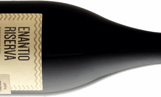 Vallagarina, Cantina Roeno: la degustazione