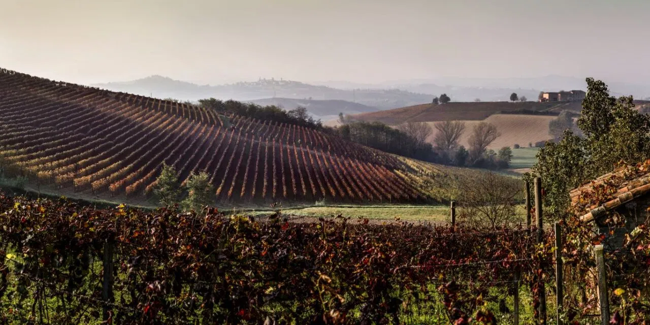 Cantine Coppo, il fascino  delle Langhe