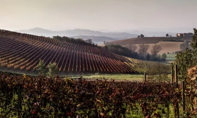 Cantine Coppo, il fascino  delle Langhe