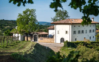 Gradis’ciutta, l’eccellenza del Collio goriziano