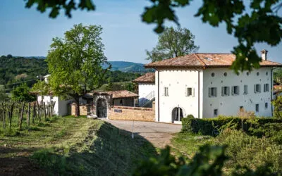 Gradis’ciutta, l’eccellenza del Collio goriziano