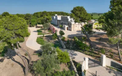 Tommasi cresce in Puglia: acquisite Tenuta Eméra e Cantina Moros da Claudio Quarta