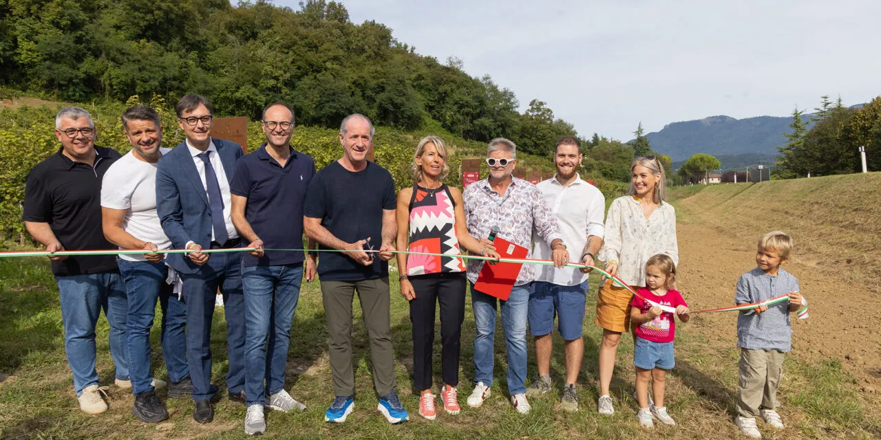 Le Manzane, in cinquecento alla vendemmia solidale 2025