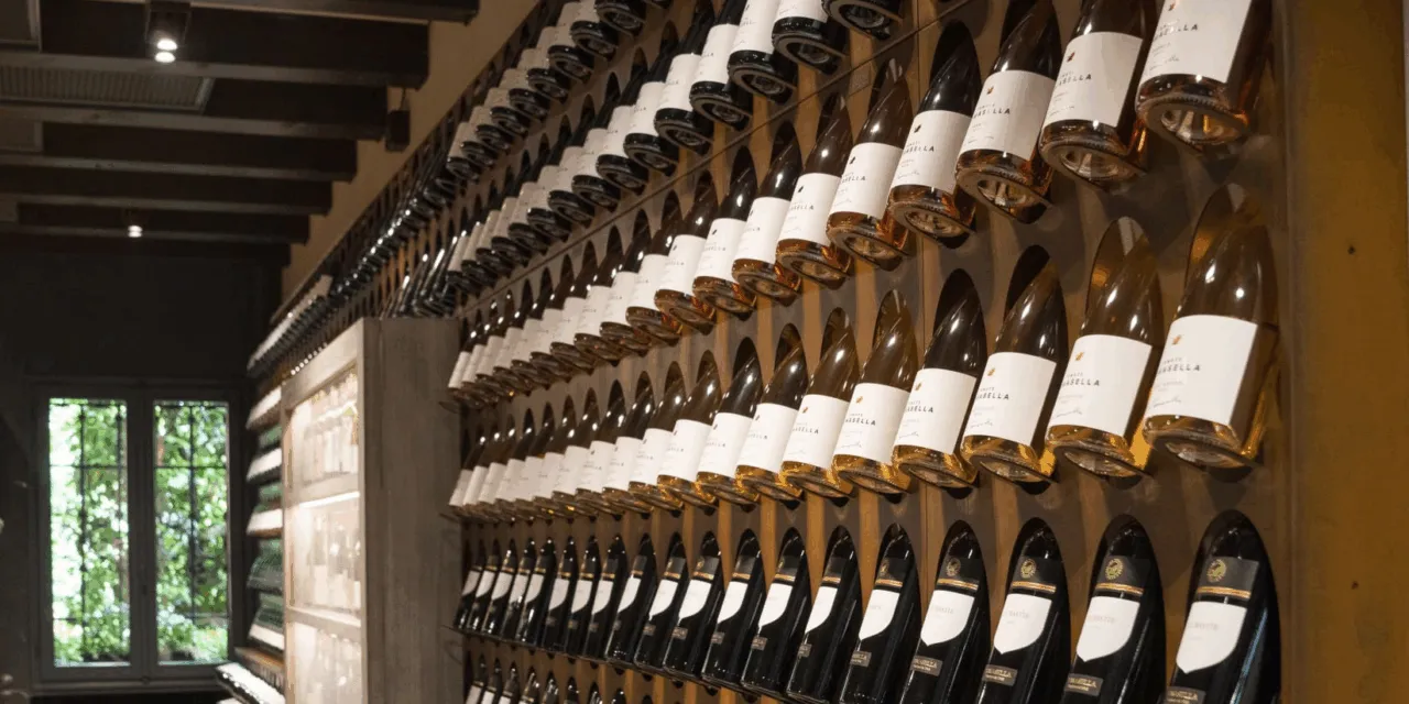 Pinot Grigio 2023 Tenute Tomasella: la degustazione