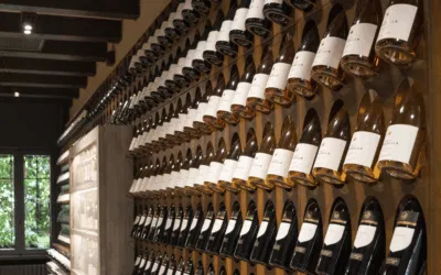 Pinot Grigio 2023 Tenute Tomasella: la degustazione